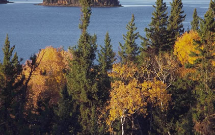 Fall colors in Prince Albert National Park
