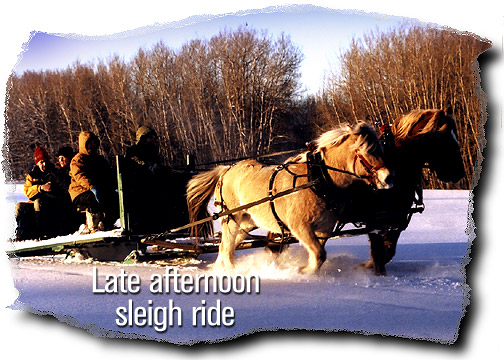 Late afternoon sleigh ride